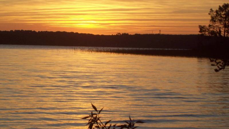 faire appel à un expert pour avoir des conseils sur une vente ou achat en viager à bordeaux et sa région Bordeaux et sa région  