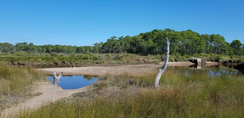 VENDRE UN VIAGER AVEC DES HERITIERS SUR BORDEAUX ET SA REGION