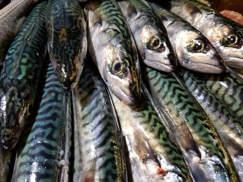 VENDRE UN VIAGER SUR LE BASSIN D'ARCACHON