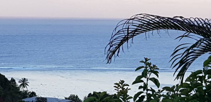 vendre en viager sur bordeaux