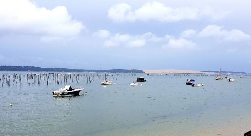 VENDRE UN VIAGER SUR LE BASSIN D'ARCACHON