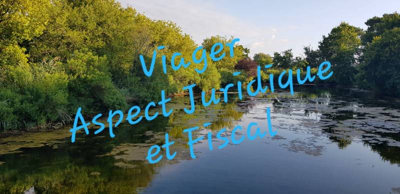 LE VIAGER UNE FISCALITE MECONNUE 