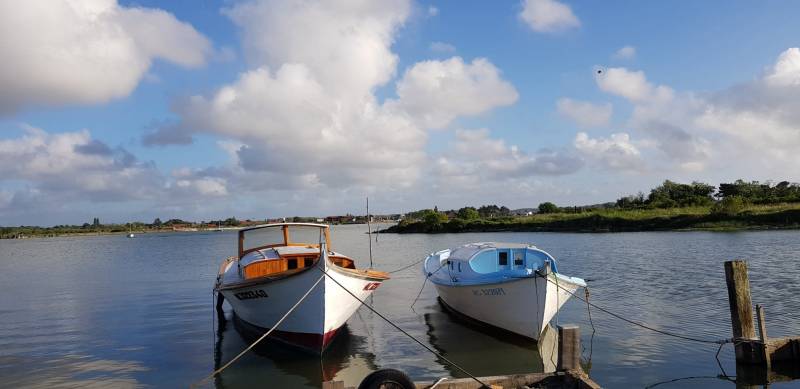 VIAGER VERONIQUE LOVIAT SPECIALISTE DE LA VENTE EN VIAGER