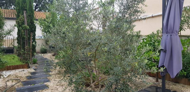 acheter un viager libre sur Bordeaux à voir rapidement avec son jardin privé