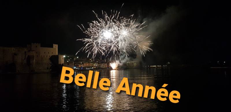 VIAGER VERONIQUE LOVIAT VOUS SOUHAITE UNE BELLE ANNEE