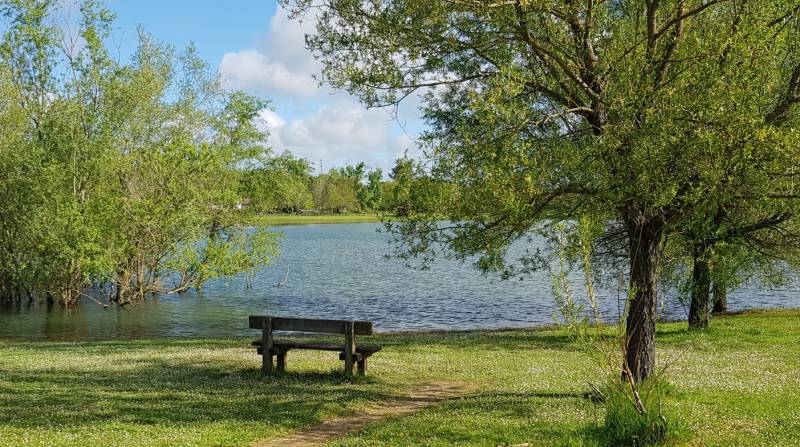 SEPTEMBRE LE MOIS PROPICE A L'ACHAT D'UN VIAGER OU D'UNE VENTE EN VIAGER