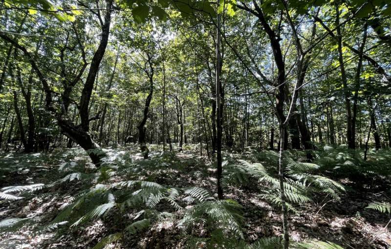 ACHETER UN VIAGER OCCUPE UNE HABITATION DE 2 CHAMBRES DANS UN ENDROIT CALME ET REPOSANT SUR 1179 m² DE TERRAIN