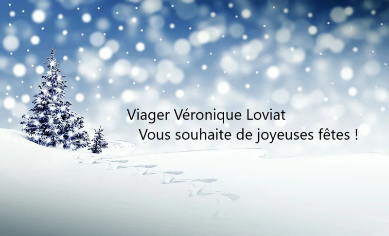 idée cadeau une étude viagère de votre bien sans engagement par Viager Véronique LOVIAT