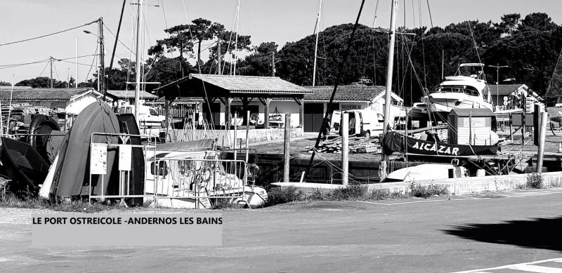 VIAGER VERONIQUE LOVIAT ETUDE ET CONSEILS GRATUITS